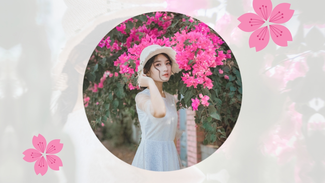 애니메이션 - 소개