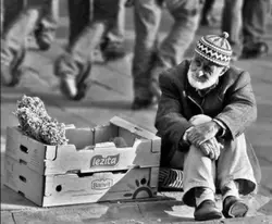 şablonn