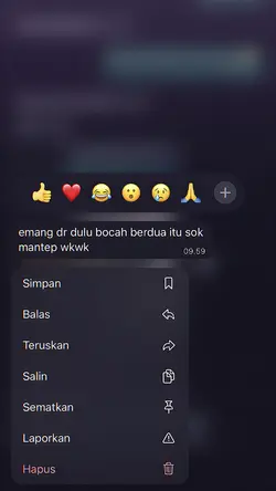 VERSI NO MIRROR