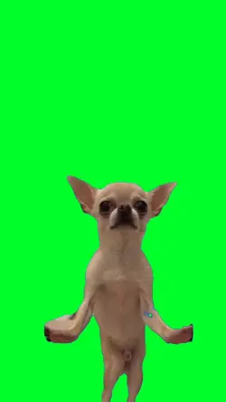 Dog dancing