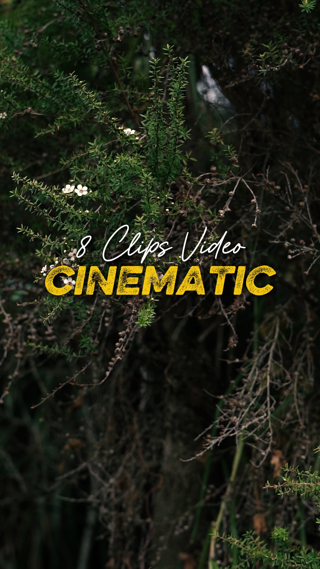 Video 8 Sinematik