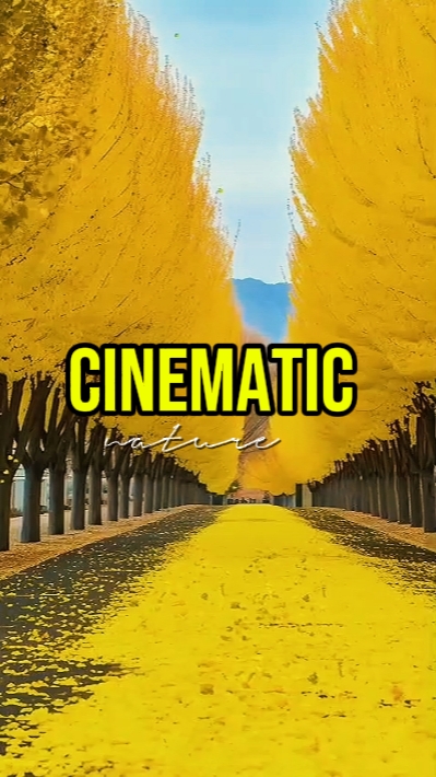 CINEMATIC NATURE 