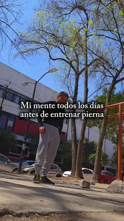 neta yo