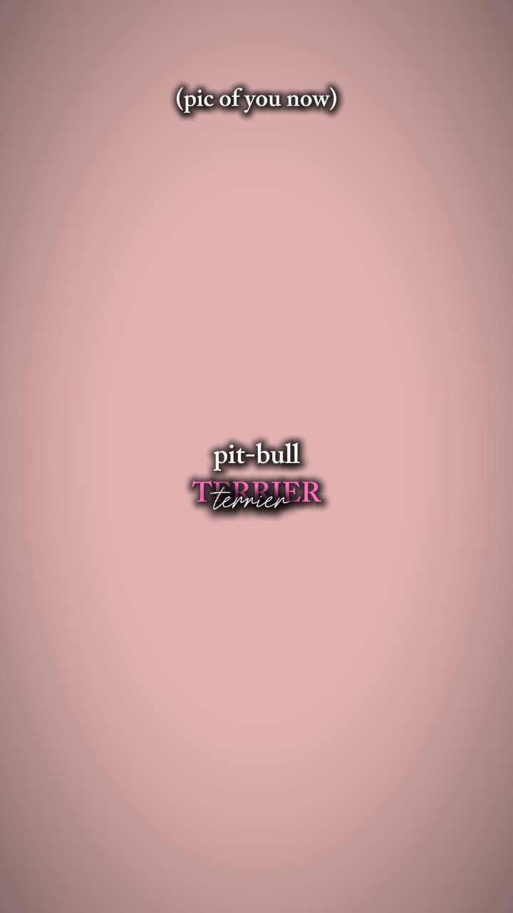 Pit-bull