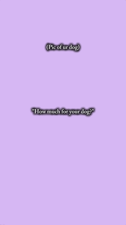 how much 4 ur dog 