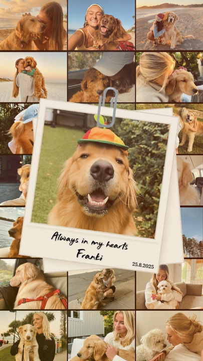 Amor de cachorro
