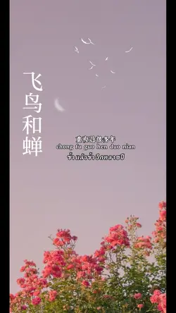 飞
鸟
和
蝉