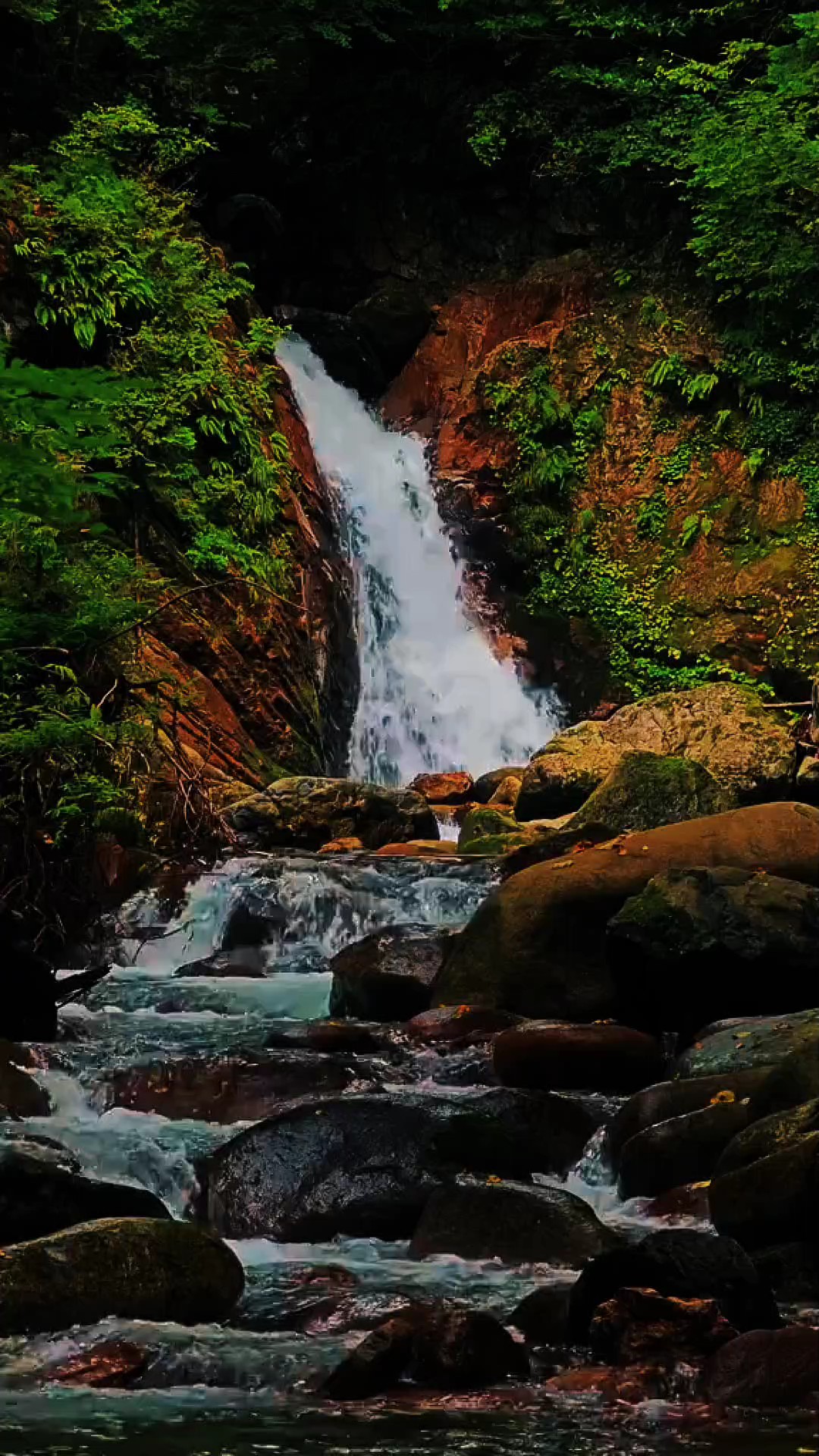 Nature • Relaxing