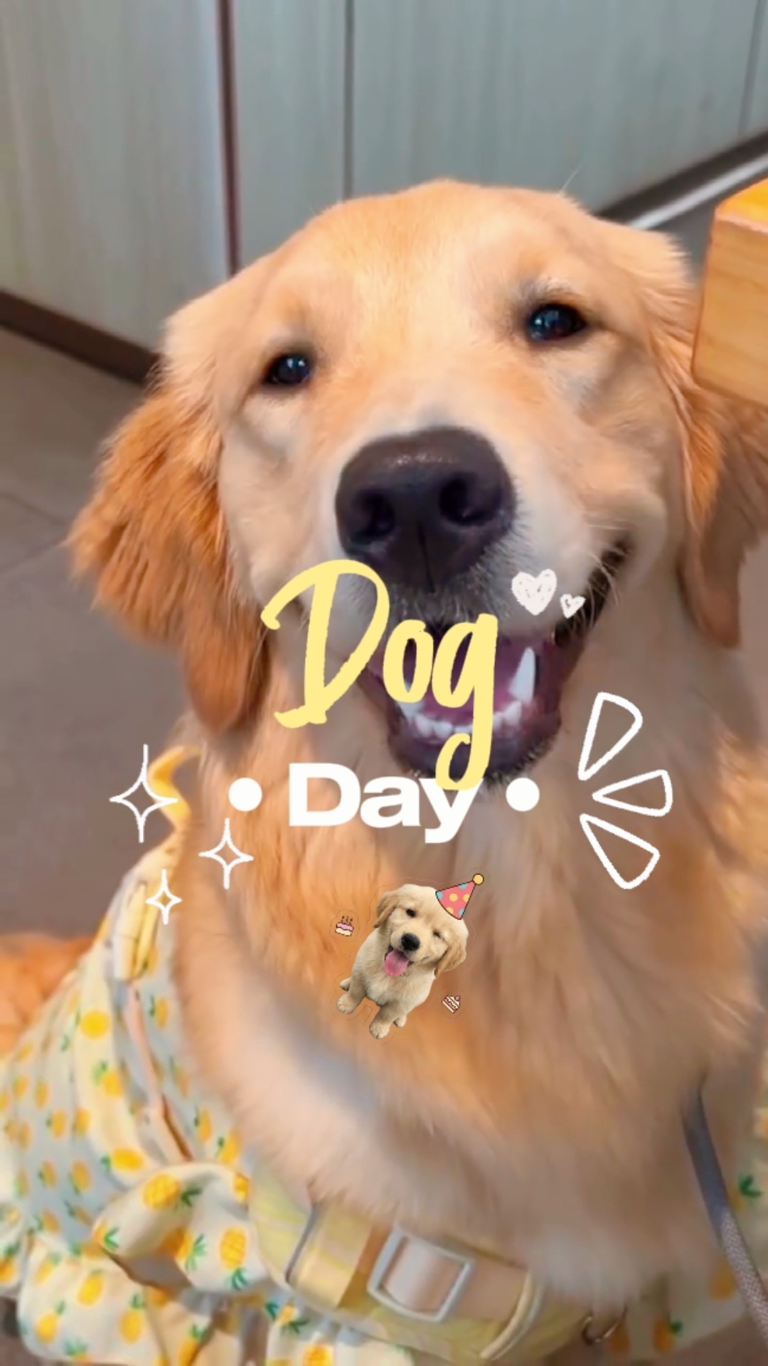 Dogday [nosotros]