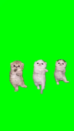 candy shop kittens