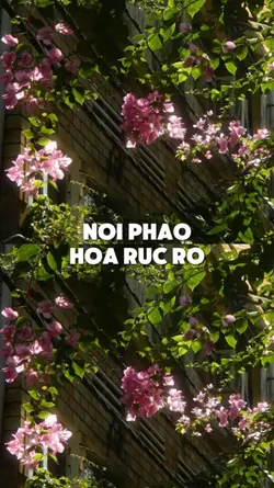 NƠI PHÁO HOA RỰC RỠ