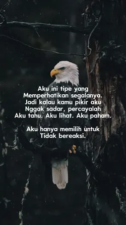 aku tipe orang
