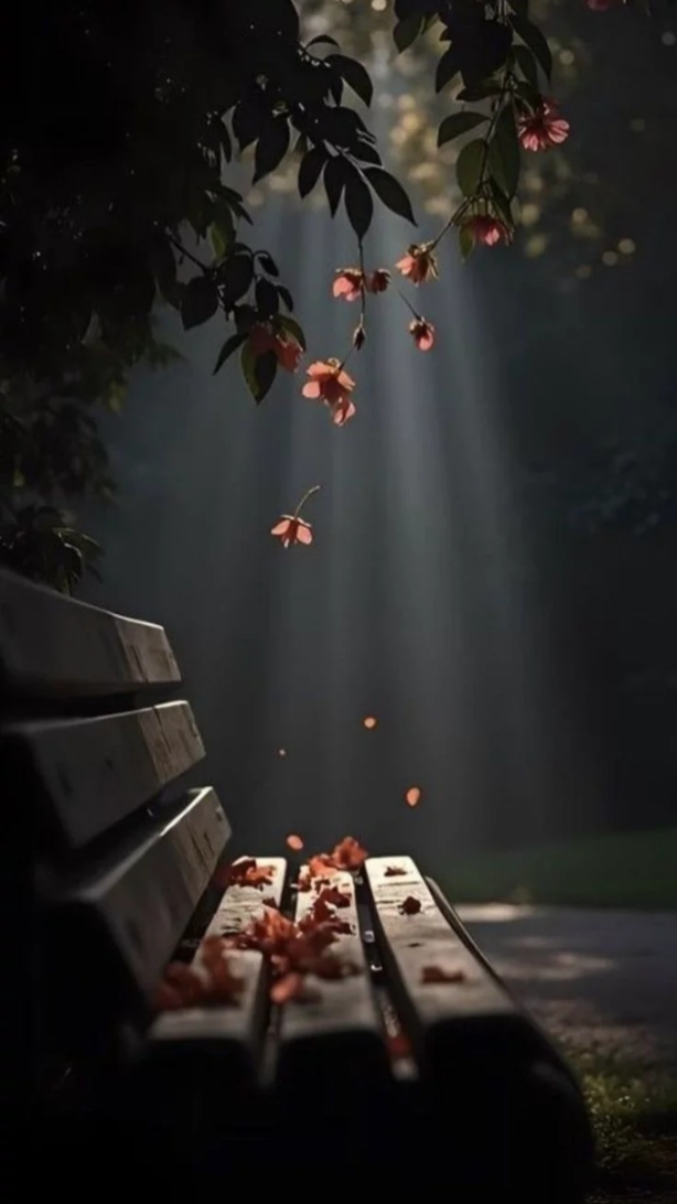cinematic