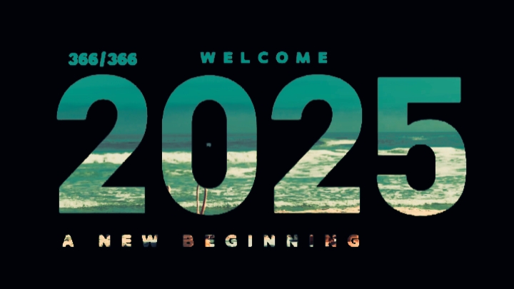 欢迎2025