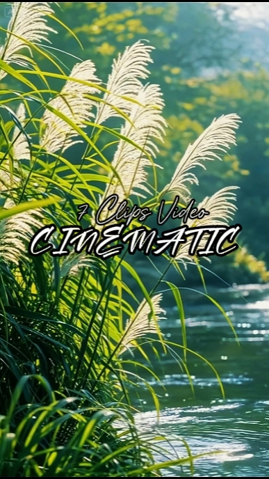 7 Cinematic Videos 