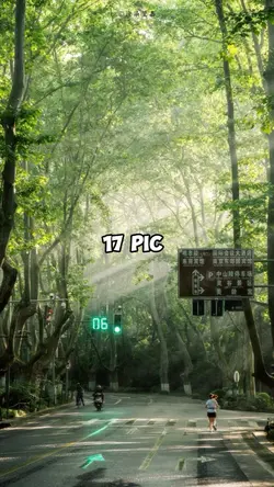 17 ảnh