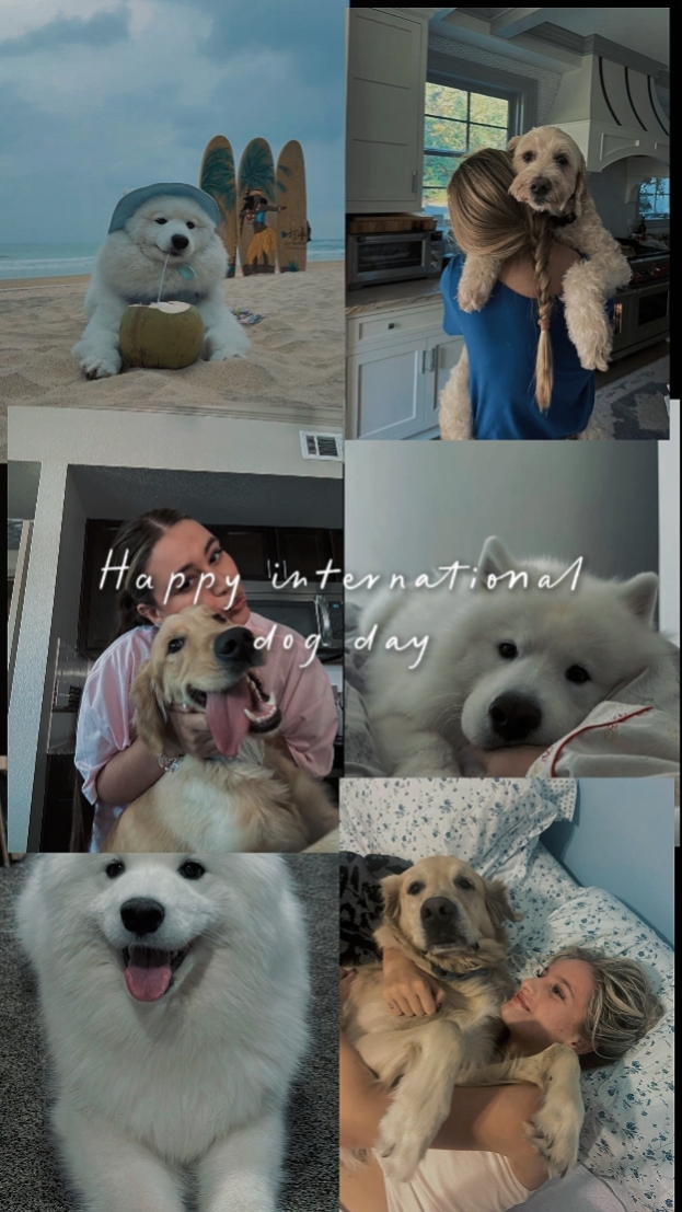 trend dog day