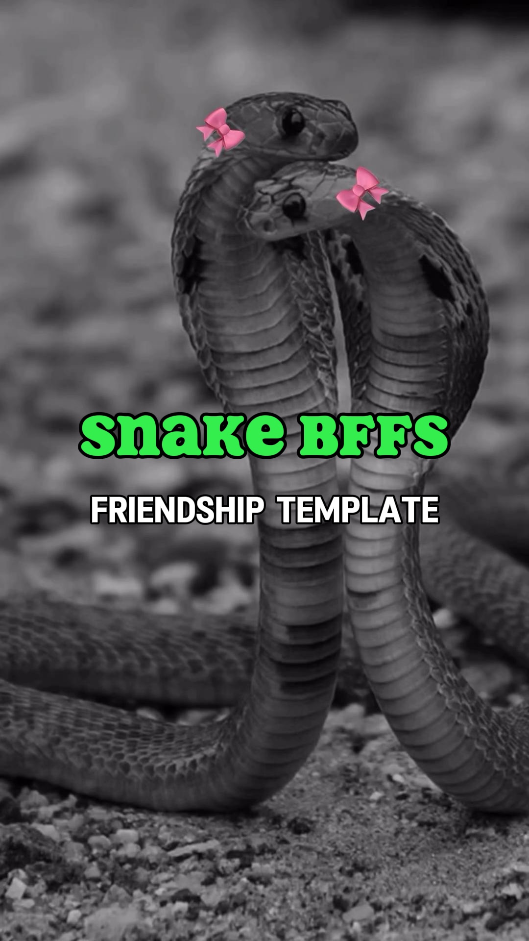 Snake bffs