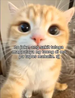 Dipa tapos mahalin