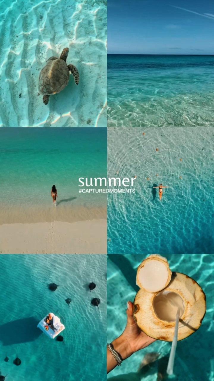 Sommer-Zusammenfassung