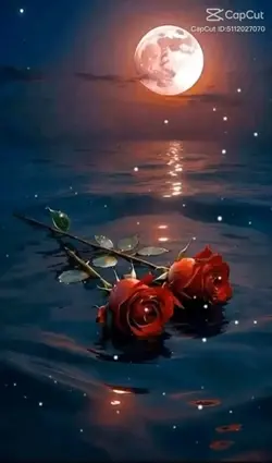 🎼 música 💘 romance 