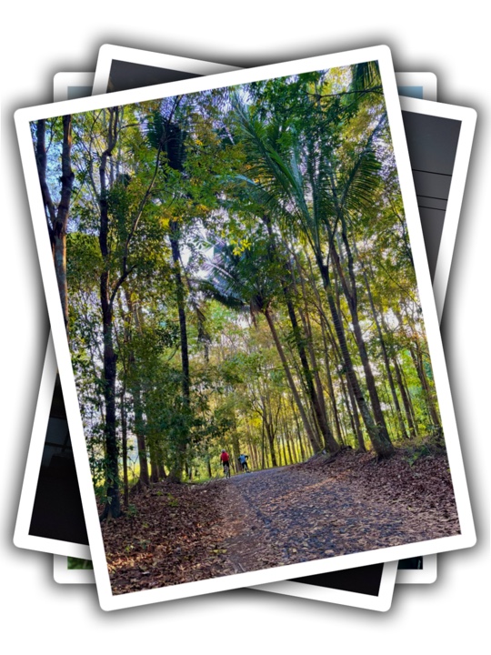 25PicClip Transition