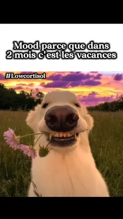 Les vacances