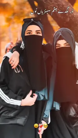 ڈرلگدامیثم سہنڑیاںتو
