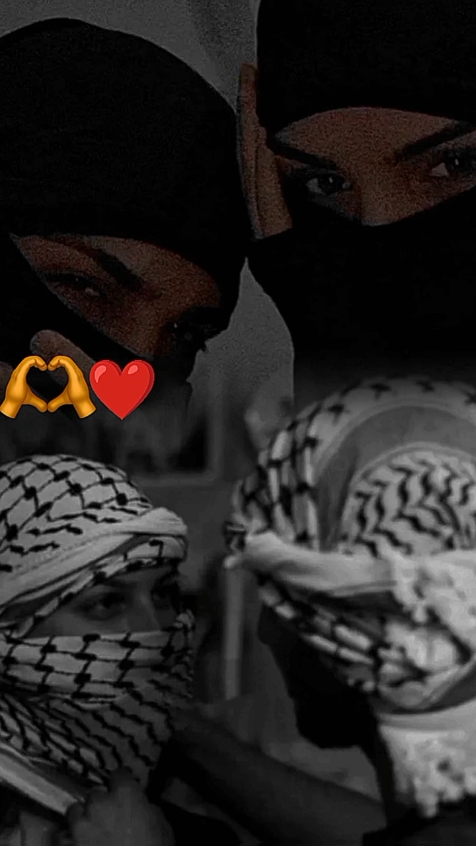 قالب جديد 