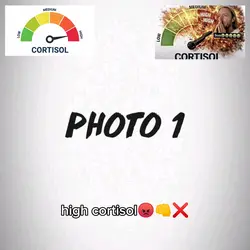 CORTISOL LEVEL MEME