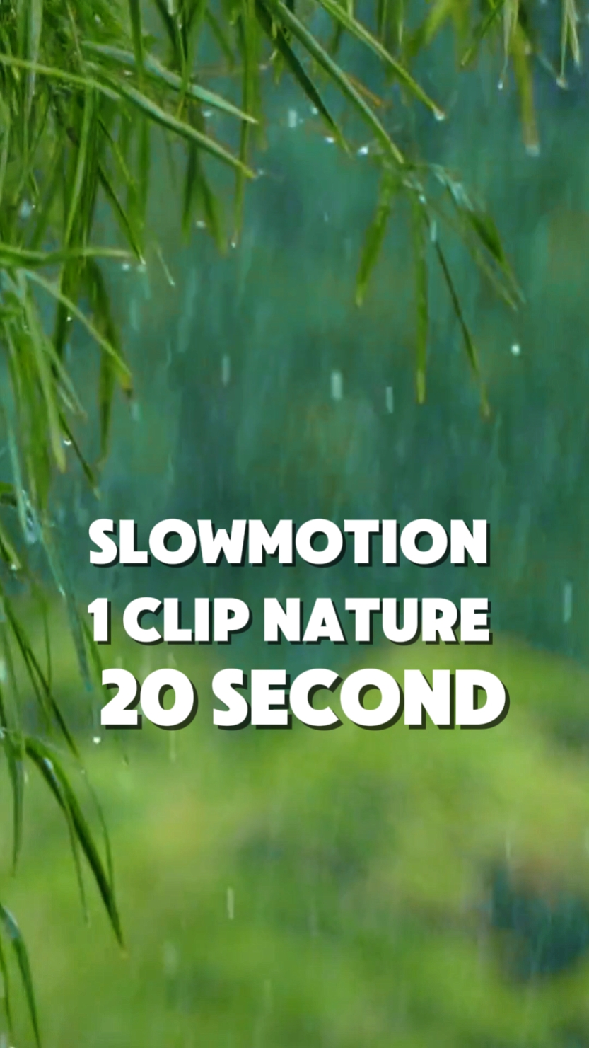SlowMotion Rain