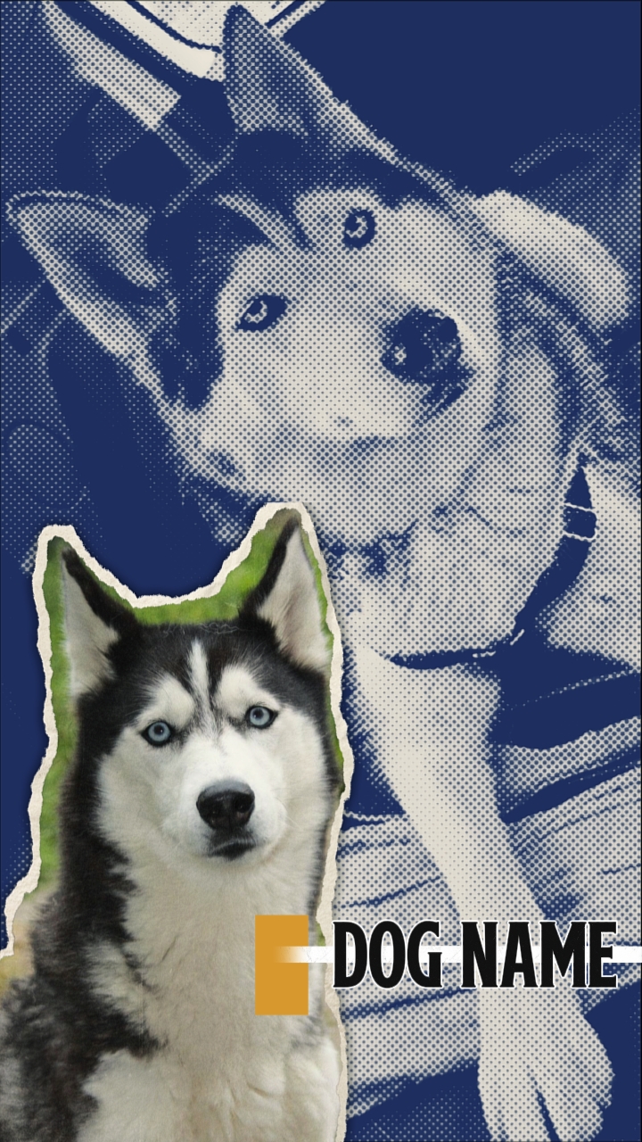 HUNDNAME