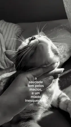 a saudade 