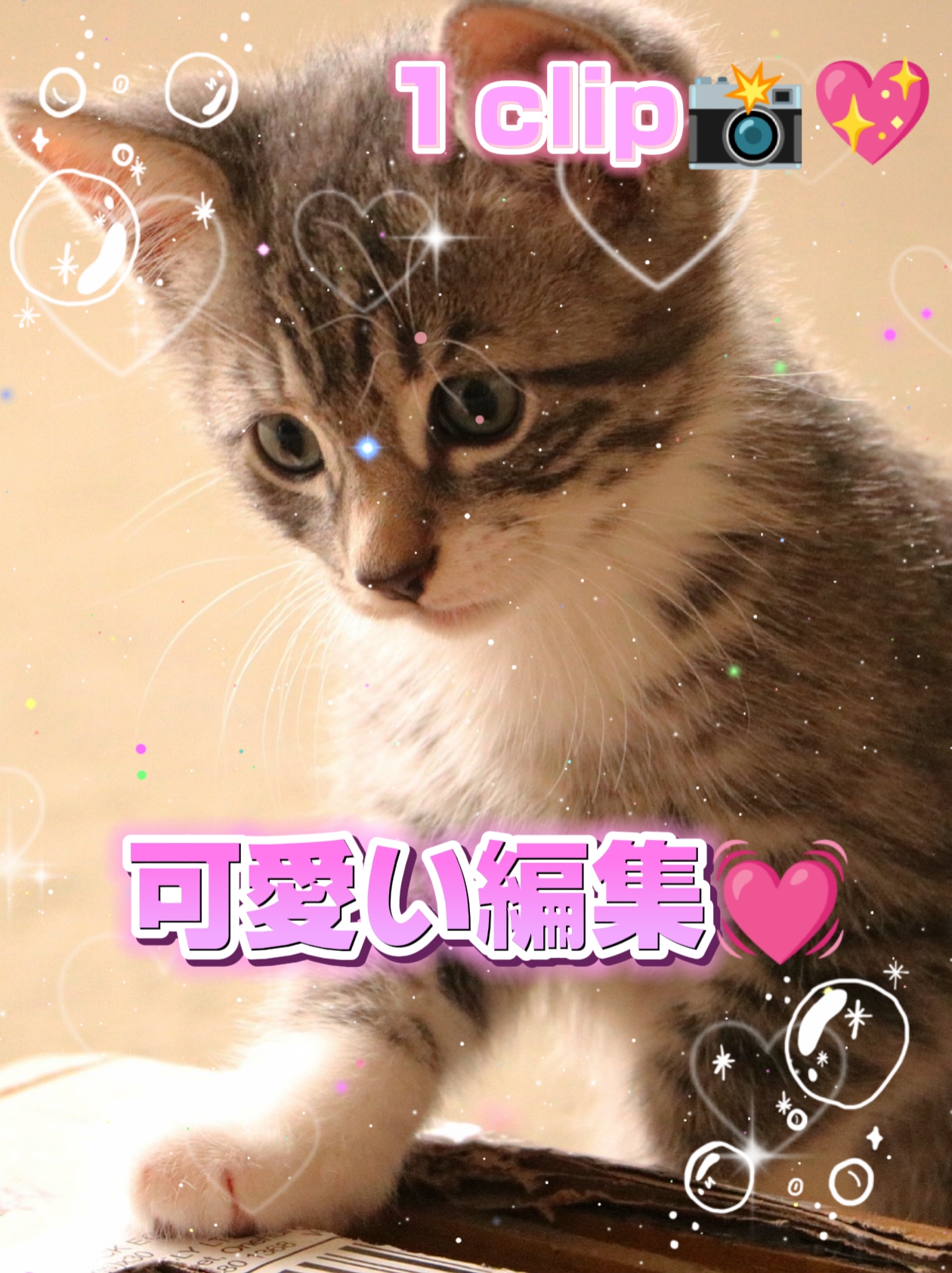 1clip / 可只い﹕