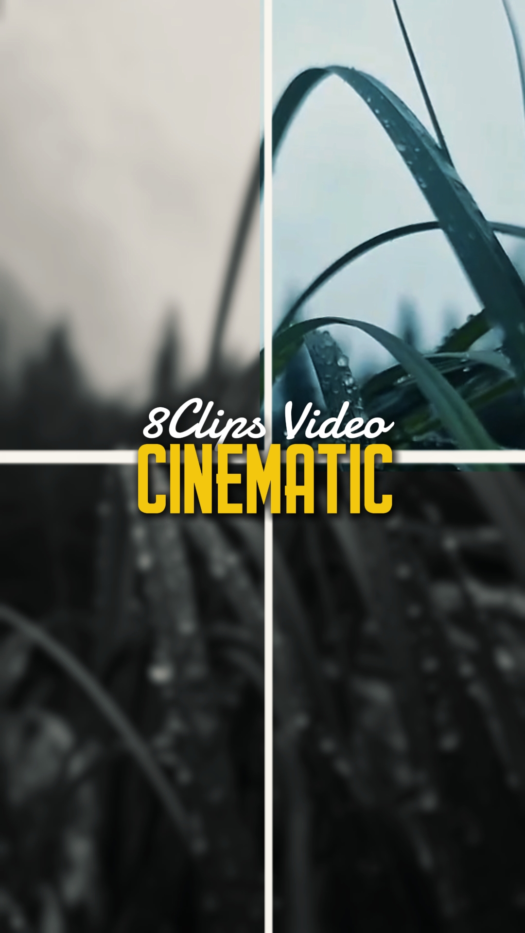 8 Klip CINEMATIC 