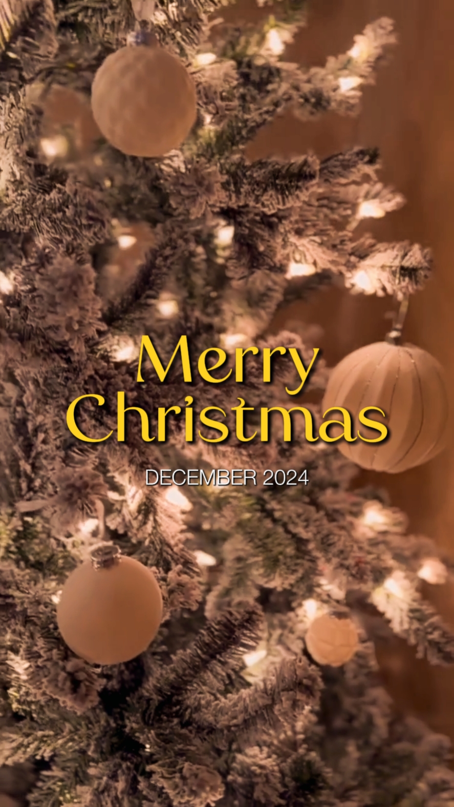 CHRISTMAS 2024
