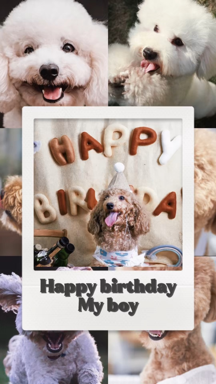 Happy birthday boys