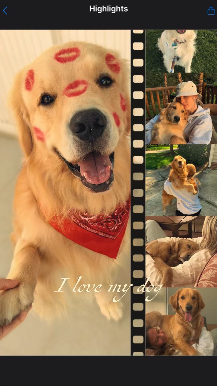 J'aime mon chien