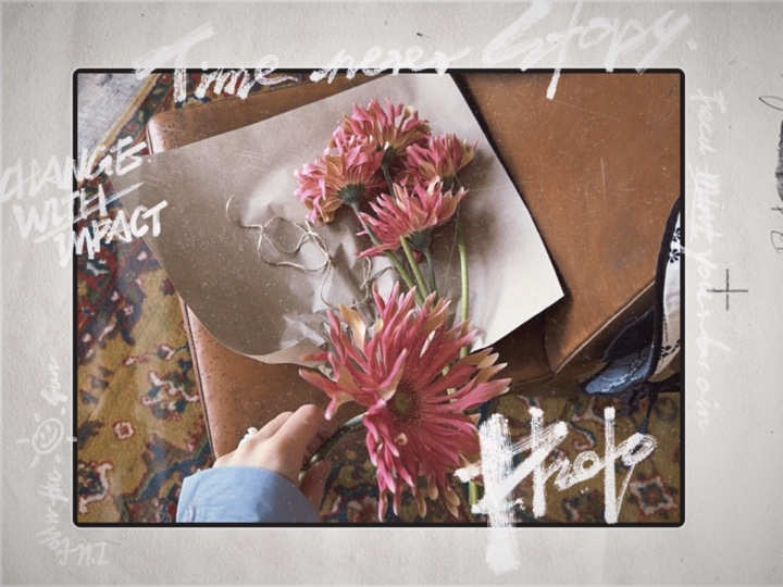 pink digicam frame