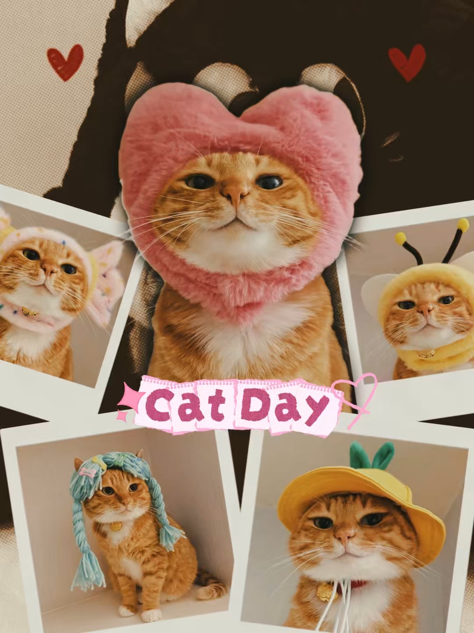 Pambansang Araw ng Pusa 🐾🐱