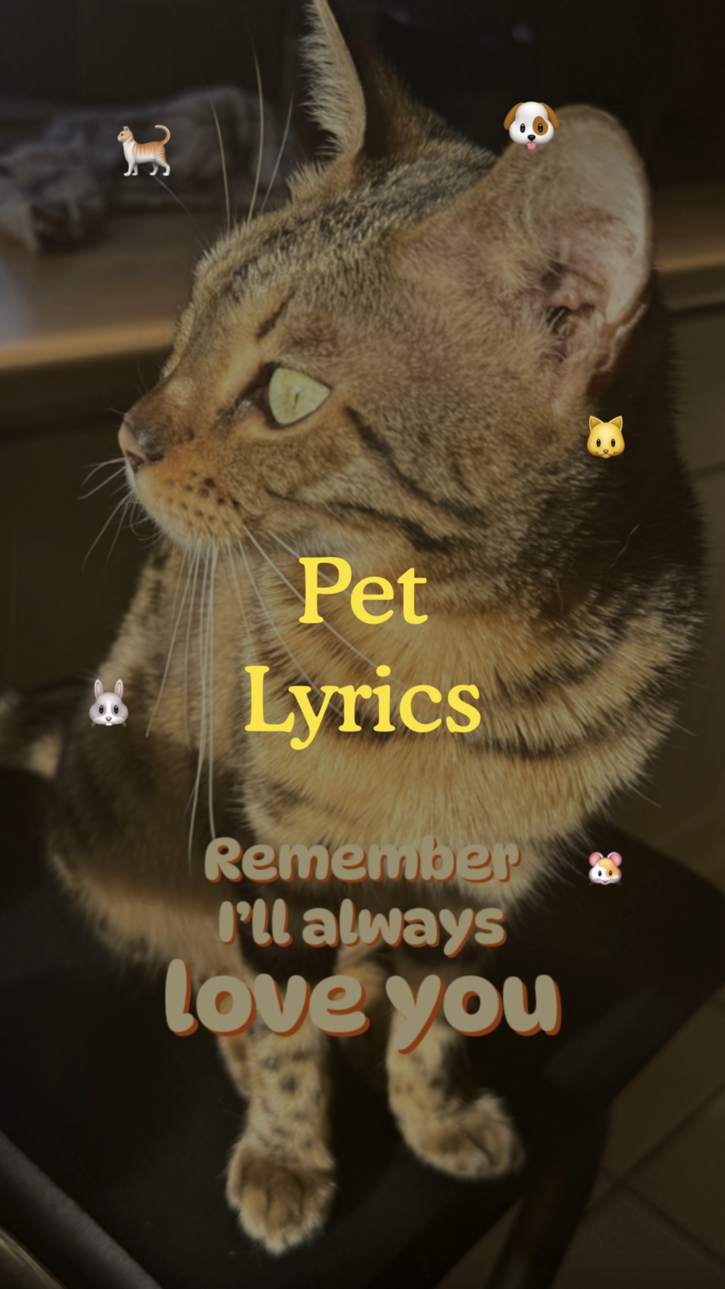 Pet Lyrics❤️