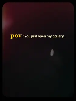 my gallery 