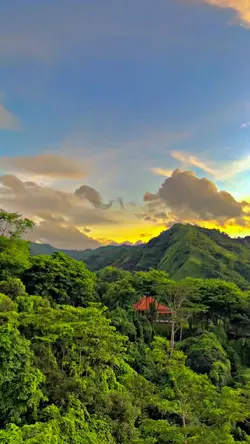 HD SENJA