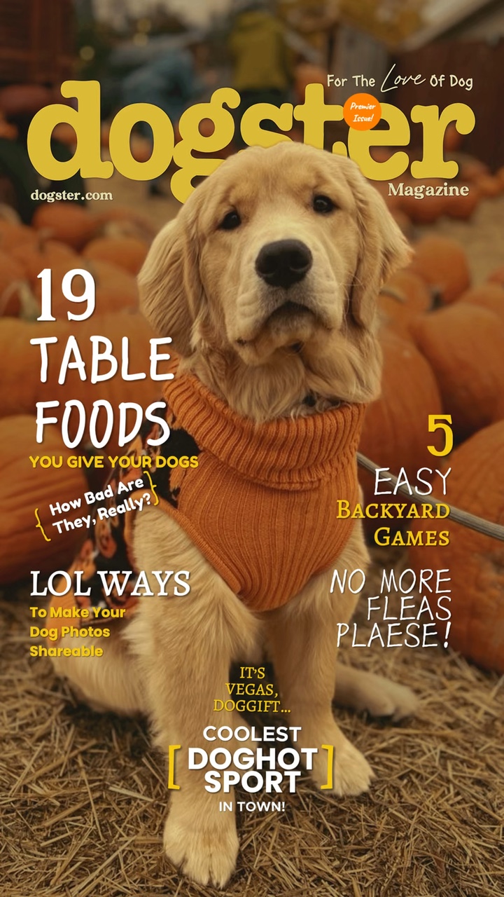 Dog Magazine