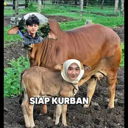 Siap qurban