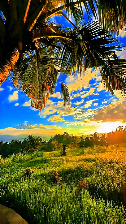 Filtro ip jernih