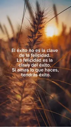 Éxito ✨