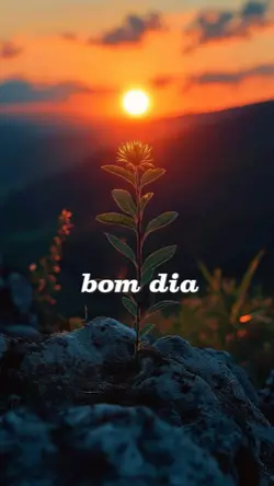 Bom dia 