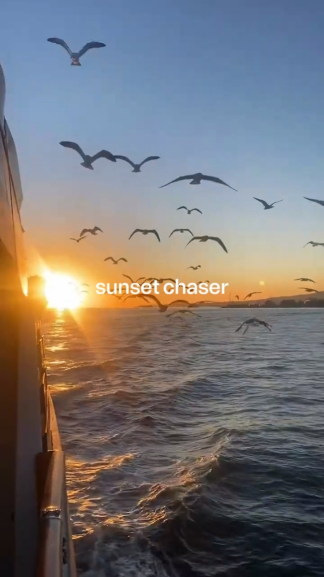are you sunset lover