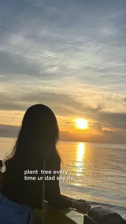 plant tree every 